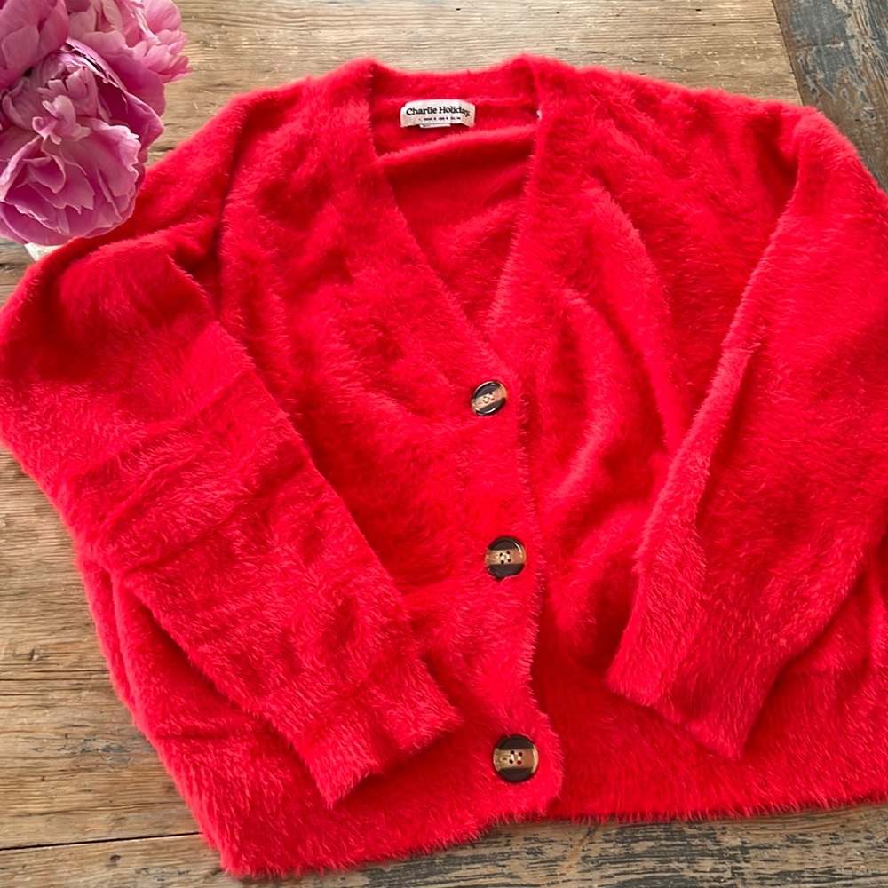 Charlie Holiday sweater